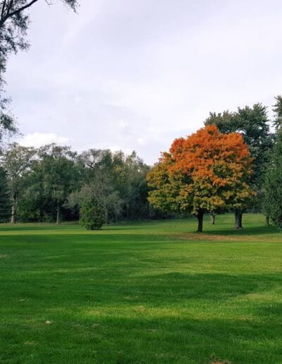 lost creek country club fairway ohio
